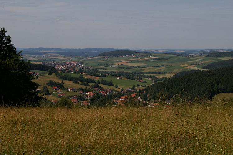 web_08