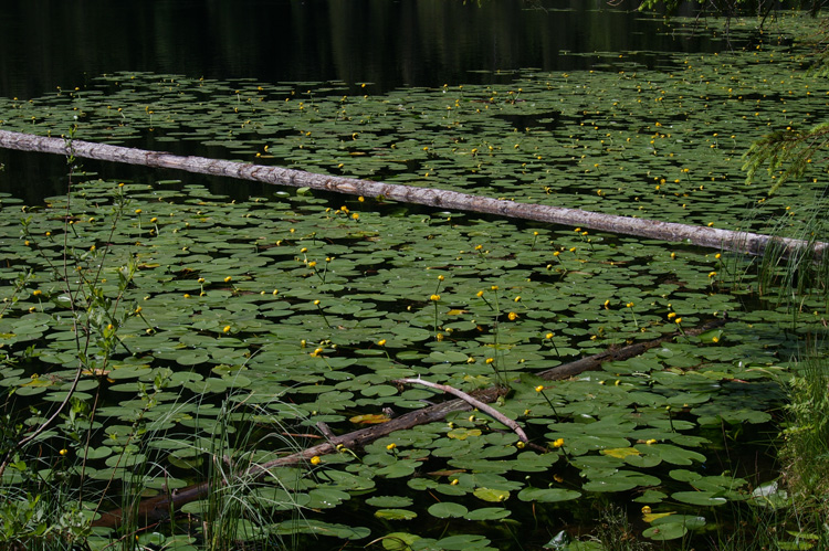 web_25