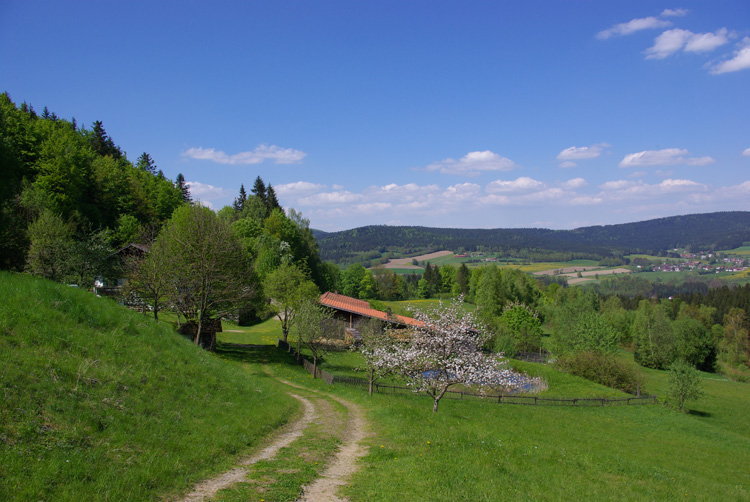 web_27