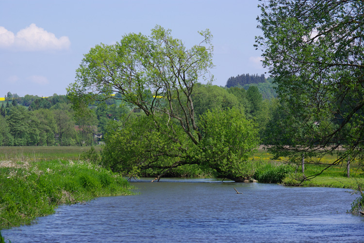 web_29