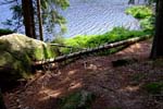 web_44