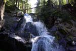 web_51